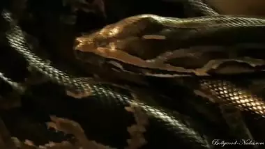 Dance with the snake