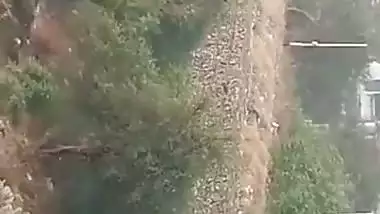 Indian Majuran pee