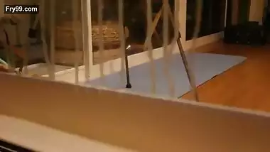 Hot Lactating Doodhwali Wife – Movies